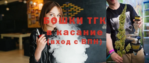 дживик Няндома