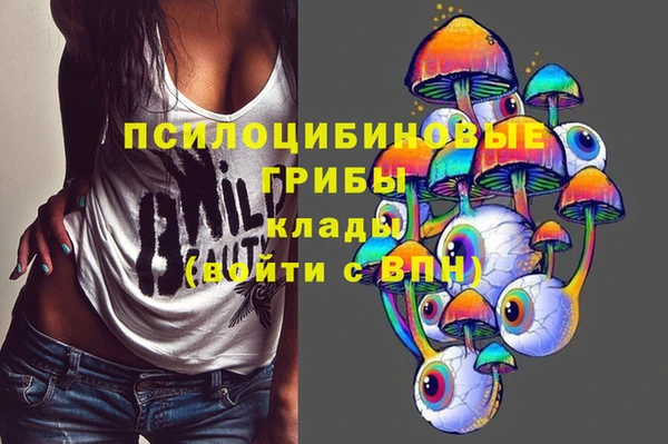 крисы Осинники
