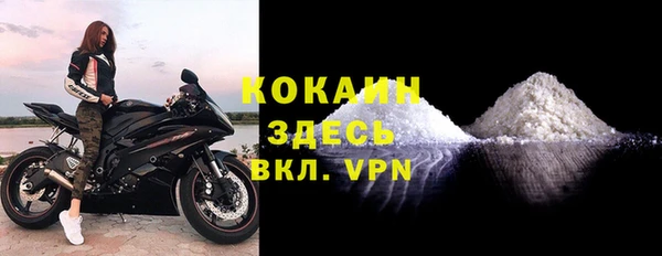 дживик Няндома