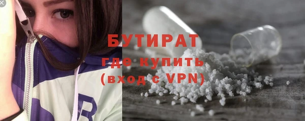 дживик Няндома