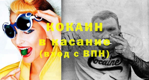 дживик Няндома
