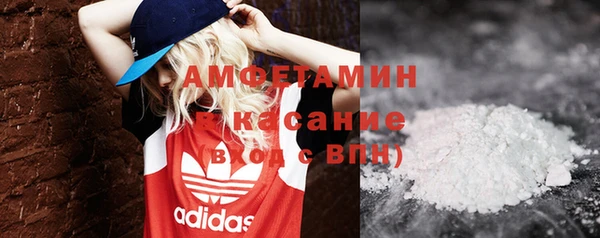 дживик Няндома