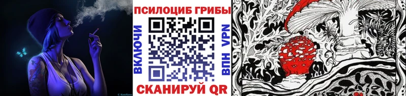 Псилоцибиновые грибы мицелий  Алзамай 